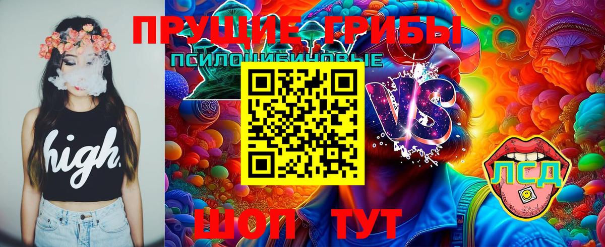 Богданович  Псилоцибиновые грибы Psilocybine cubensis  Вход с VPN  Псилоцибиновые грибы ЛСД 