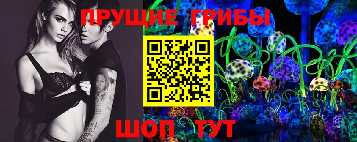 Галлюциногенные грибы ЛСД Богданович